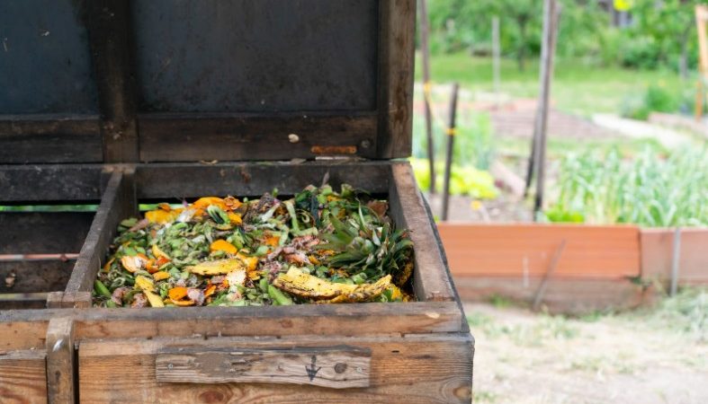 Horta Orgânica Comunitária