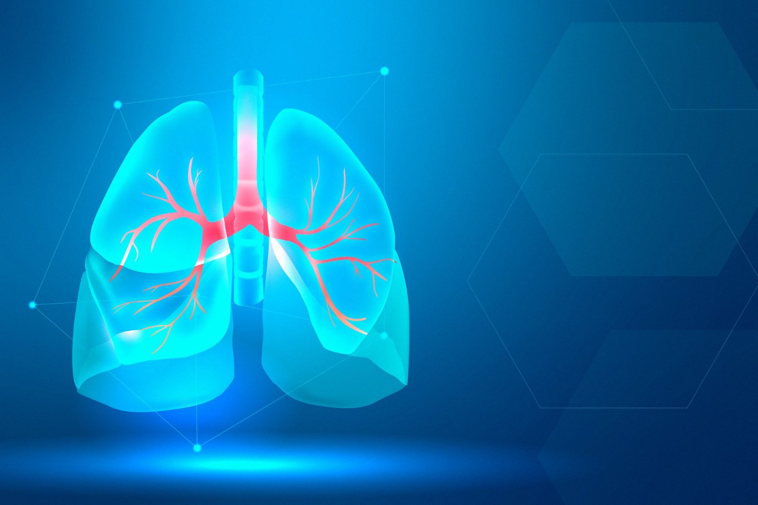 imagem ilustrativa de um poulmão demonstrando doenças do sistema respiratório