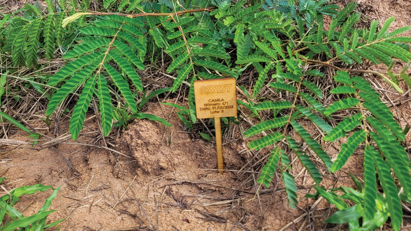 Bosque ASSIST recebe novas placas de  identificação