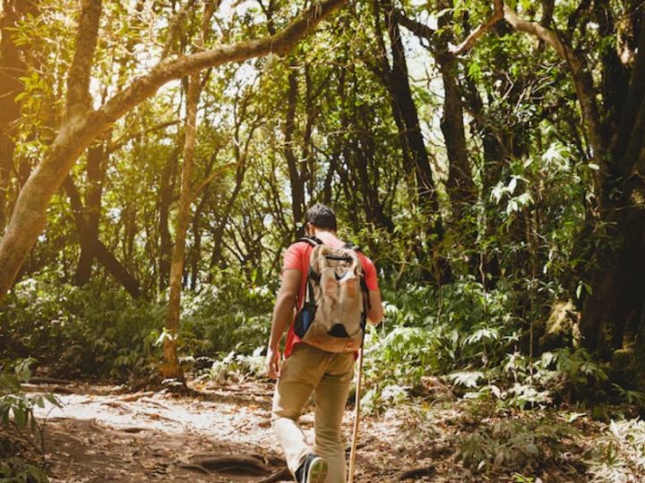 Turismo de natureza: preservar para continuar visitando