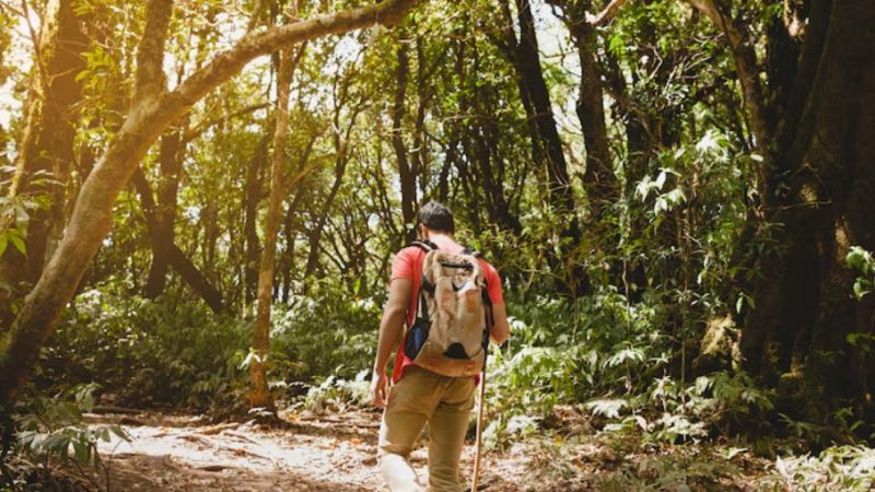 Turismo de natureza: preservar para continuar visitando