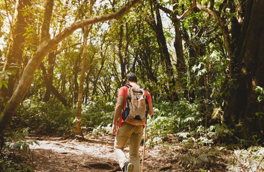 Turismo de natureza: preservar para continuar visitando